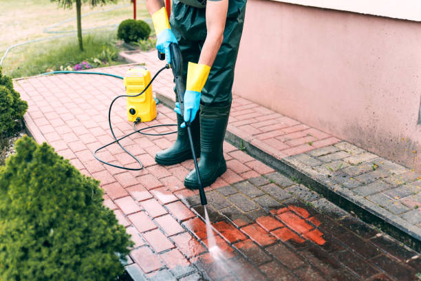 Animal Enclosure Cleaning in Bear Creek, AL