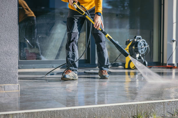 Solar Panel Cleaning in Bear Creek, AL